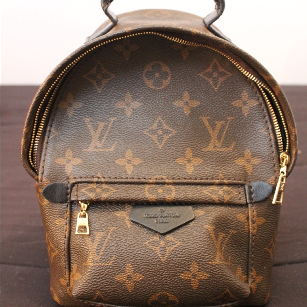 Louis Vuitton Palm Springs bag